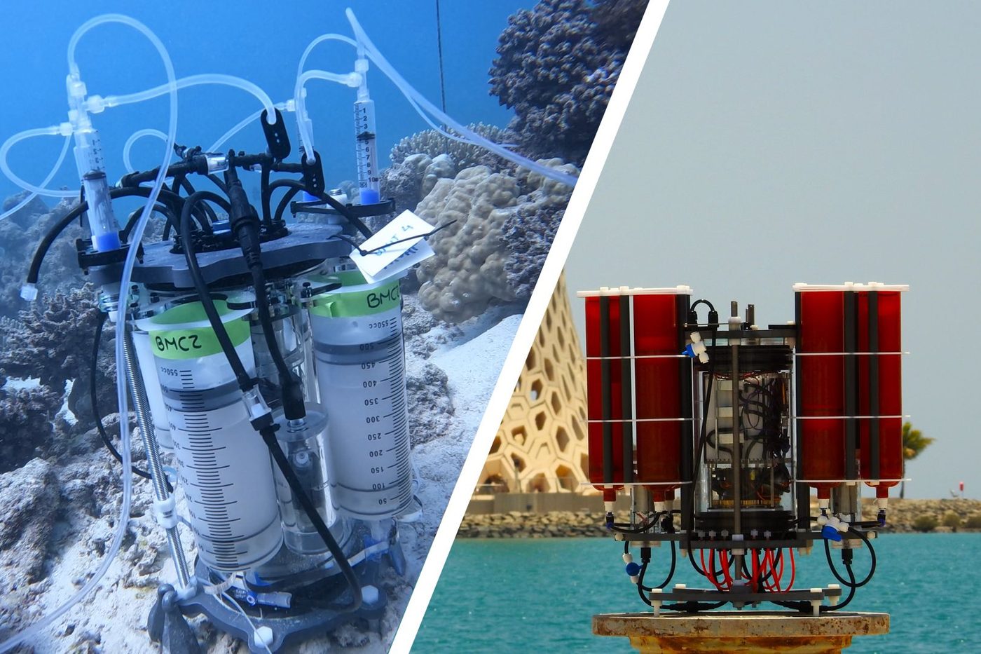 Coral Reef Probiotic Dispenser