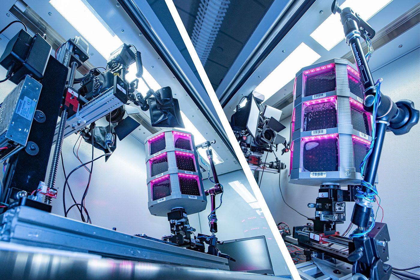 Plant Root Phenotyping Machine
