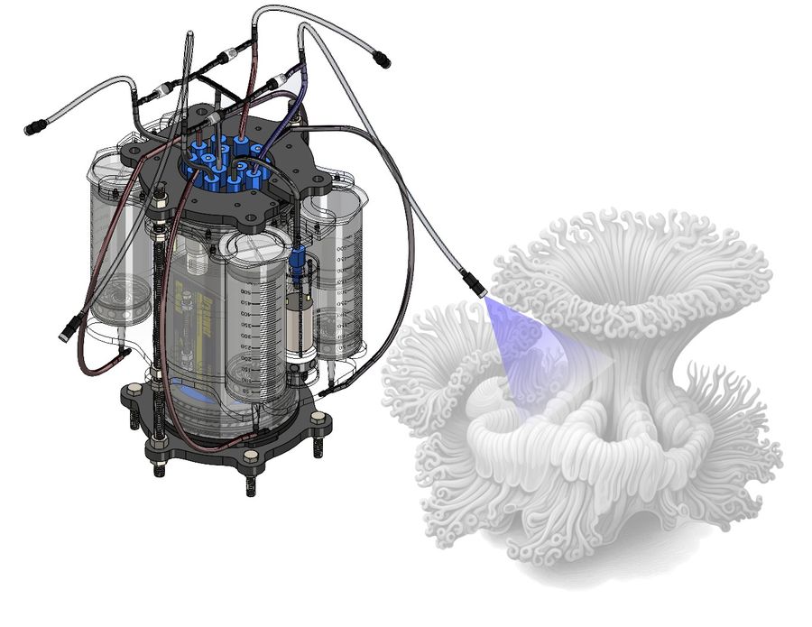 Coral probiotic dispenser, image 7
